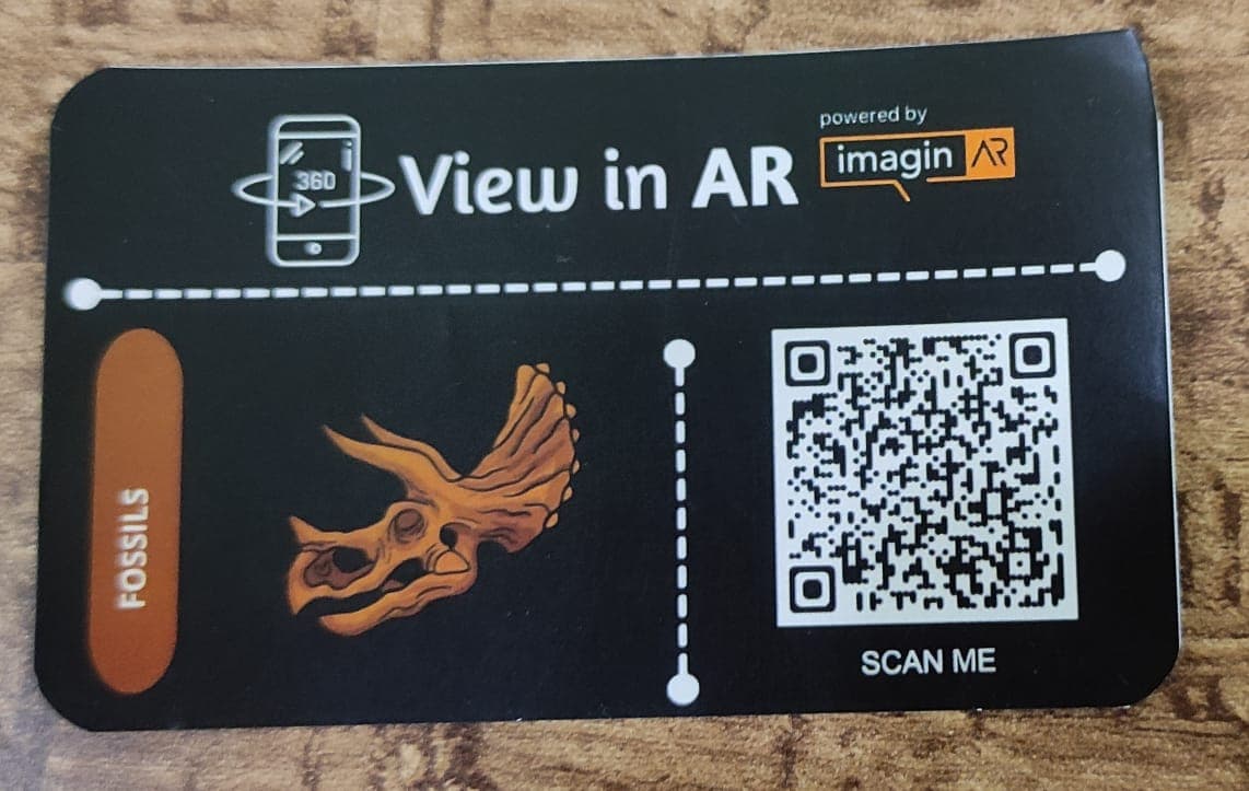 A close-up of an ImaginAR Fossils AR sticker with a QR code